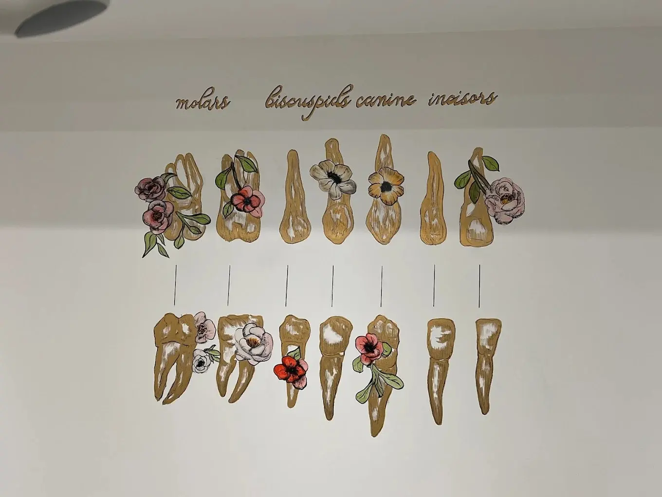 Seher Pehlivanoğlu Diş Kliniği