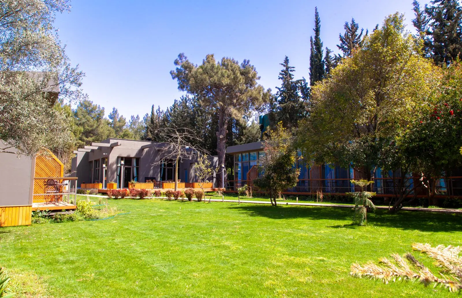 Luwi Dental Clinic Antalya